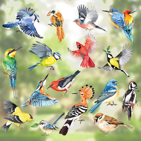 decalmile Spring Summer Birds Double Sided Window Clings, Hummingbird Parrot Window Decals Set of 17 Birds