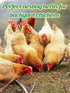20OZ Chicken Nesting Herbs for Outdoor Indoor Chicken Coop - Natural Egg-Laying Box Feed Herbs for Freshening Bedding