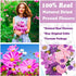 92 Pcs Purple Dried Pressed Flowers Real Natural Leaves Petals for DIY Resin Candle Jewelry Nail Crafts