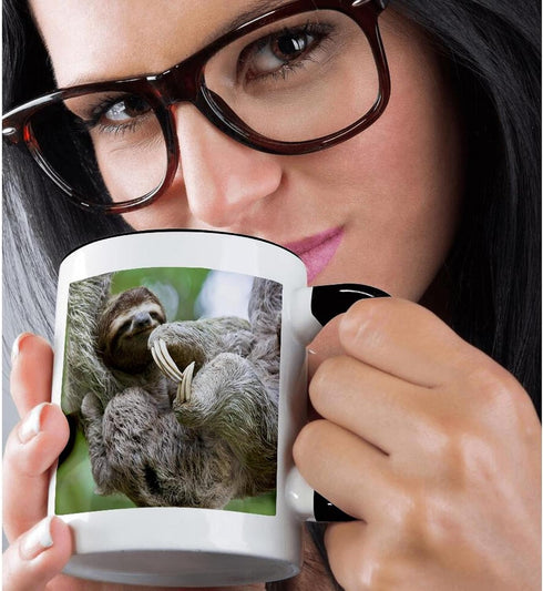 3dRose Brown-Throated Sloth Wildlife Mug, Corcovado Costa Rica, 11 oz, Black/White