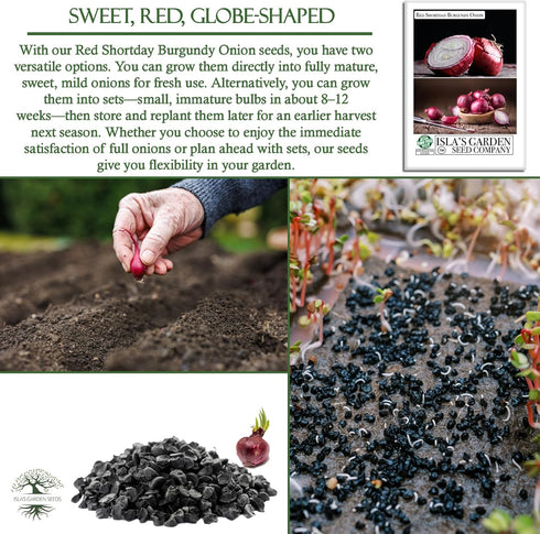 300+ Bulbs Red Shortday Burgundy Onion Seeds Heirloom Non-GMO Seeds by Islas Garden Seeds, Sweet Mild Burgundian