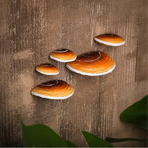 Geetery Set of 5 Mushroom Shelves Floating Wall Decor Mini Hanging Cottage