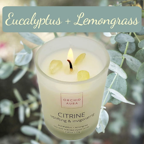 Soy Candles with Healing Crystals, 3PC Scented Candle Set, Eucalyptus + Lemongrass, Jasmine + Sandalwood, 2.47oz Each