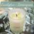 Soy Candles with Healing Crystals, 3PC Scented Candle Set, Eucalyptus + Lemongrass, Jasmine + Sandalwood, 2.47oz Each