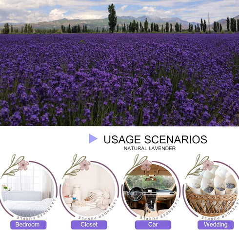 Dried Lavender Flowers - Bulk Wholesale Fragrant Lavender for Wedding Toss, Crafts, Sachets - 1 Pound