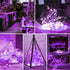 8 16FT 50Led Light Purple Fairy Lights Battery Operated (Included), Modes & Auto Timer, Mini Twinkle Lights, Waterproof