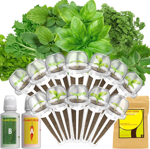 Lyko Gourmet Herb Seed Pod Kit for AeroGarden, iDoo, Ahopegarden, GARDENCUBE, 12