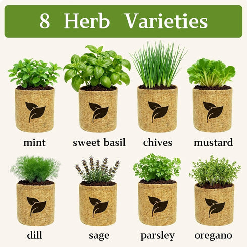 Indoor Herb Garden Start Kit - Unique Gifts for Women, Mothers Day Gifts, Easy House Plant- Birthday for Women,House