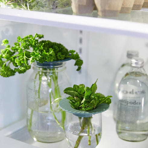 2 2 Pack Modern Sprout Produce Keeper for Fresh Herbs & Greens - Eco-Friendly, BPA-Free, Sustainable Materials