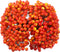 BBTO Artificial Holly Berries on Wire Stems, 250 Stems with 500 Pieces