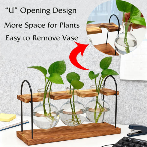 Wellinc Bulbs, Plant Terrarium with Wooden Stand, The Ultimate Gift for Plant Lovers, Propagation Station with Retro