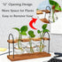 Wellinc Bulbs, Plant Terrarium with Wooden Stand, The Ultimate Gift for Plant Lovers, Propagation Station with Retro
