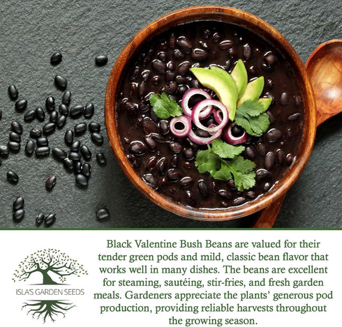 50+ Packet, "Black Valentine" Bush Bean Seeds, Heirloom Seeds Per Non GMO Seeds, (Isla's Garden Seeds), Botanical Name: