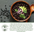 50+ Packet, "Black Valentine" Bush Bean Seeds, Heirloom Seeds Per Non GMO Seeds, (Isla's Garden Seeds), Botanical Name: