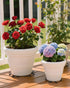 ISYOKE 21 Pack 5 7 8 Inch Plastic Plant Saucer Stand, Flower Pot Feet Drainage Risers Elevator, Plant Pot Risers