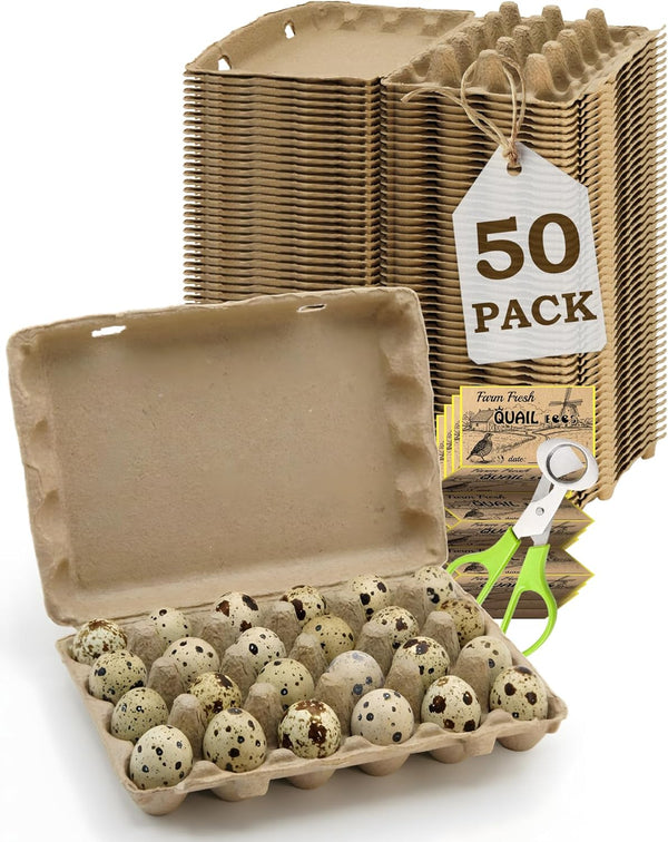 WizzVac 24 Grids Pulp Quail Egg Cartons - 50 Pack Paper Pulp Bulk