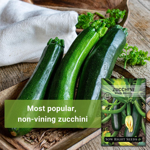 Packet Summer (4) Sow Right Seeds - Black Beauty Zucchini Seeds for Planting - Non-GMO Heirloom with Instructions