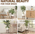 3 Pack Bamworld Plant Stands Indoor Single Plant Stand for Multiple Plants Corner Plant Stool Wooden Plant Stands