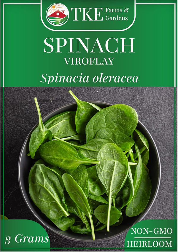 TKE Farms & Gardens - Viroflay Spinach Seeds for Planting, 250+ Heirloom