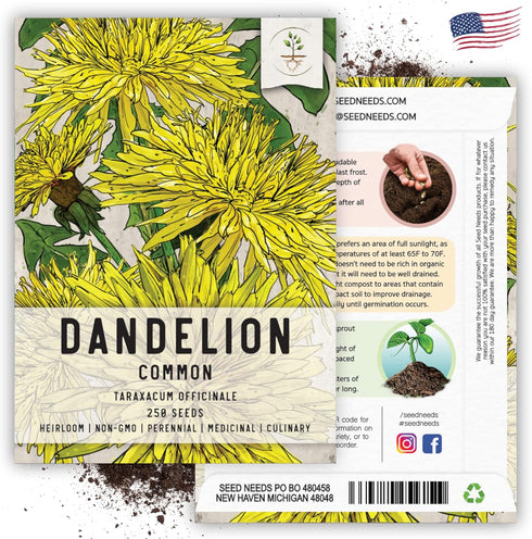 (1 Pack) Seed Needs Dandelion Seeds for Planting Taraxacum officinale - Non-GMO Heirloom & Untreated Perennial Herbs