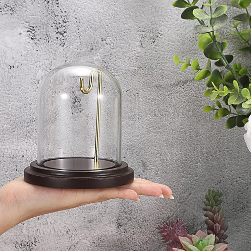 JUXYES Clear Watch Glass Display Dome Cloche With Hook, Dome Cloche with Hook with Wooden Base, Transparent Dome Cloche