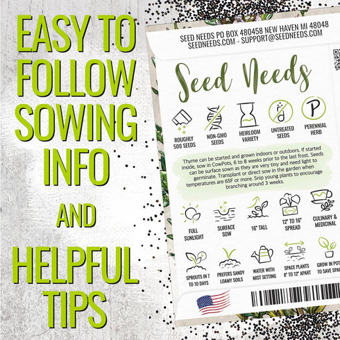 (1 Pack) Seed Needs Thyme Seeds for Planting - Non-GMO Heirloom & Untreated Perennial Herb Seed to Plant a Culinary