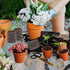 ZeeDix 100 Pcs 30mm Peat Pellets Seed Starter Soil Pods for Vegetable Seedling with 100 Labels & 2 Tools