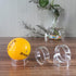 (48 Pack) Baseball Display Stand, Clear Baseball Ring, Round Display Stand for Golf Ball, Softball, Marbles