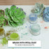 Set 3 Global Sugar Art Succulents Sugar Cake Flowers, of by Chef Alan Tetreault