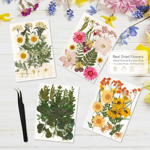 Relaxing Garden Pressed Flower Craft Kit for Adults & Women, DIY Floating Double Glass Frame Kit with Real Dried