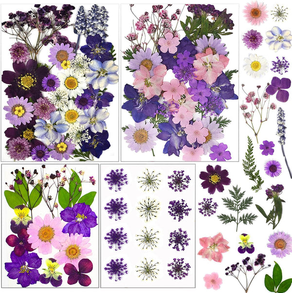 92 Pcs Purple Dried Pressed Flowers Real Natural Leaves Petals for DIY Resin Candle Jewelry Nail Crafts