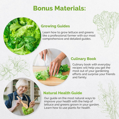 10 Pack 4800+ Organo Republic Lettuce & Salad Greens Seeds Variety Non-GMO Heirloom Lettuce Seeds for Planting Indoors