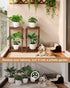 2 Plant Stand Indoor,Wooden Tier Plant Stands,Corner Square Plant Shelf,Rustic Flower Stand Tall Plant Holder