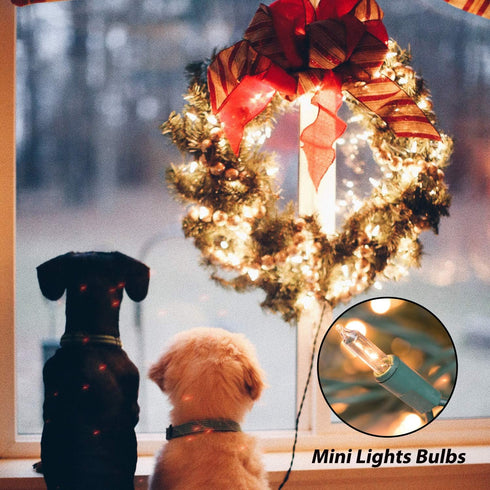 3 Pack 20 100 Counts Minetom Clear Christmas String Lights Feet Warm Mini Lights for Christmas Indoor Outdoor Patio