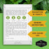 Common (1 Pack) Stinging Nettle Seeds for Planting - Urtica Dioica Medicinal Herb & Edible Perennial - Nettle for Tea