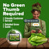 Pack, 7000+ HOME GROWN Romaine Lettuce Seeds, Paris Island Bulk Lettuce Seeds for Planting, High Germination Heirloom