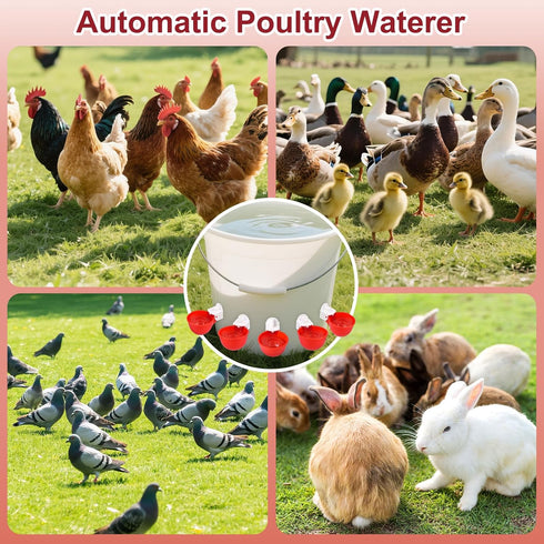 tibaebe 8 Pack Chicken Waterer Cups, Red Automatics Chicken Waterer, Professional Poultry Cups Suitable for Chicks