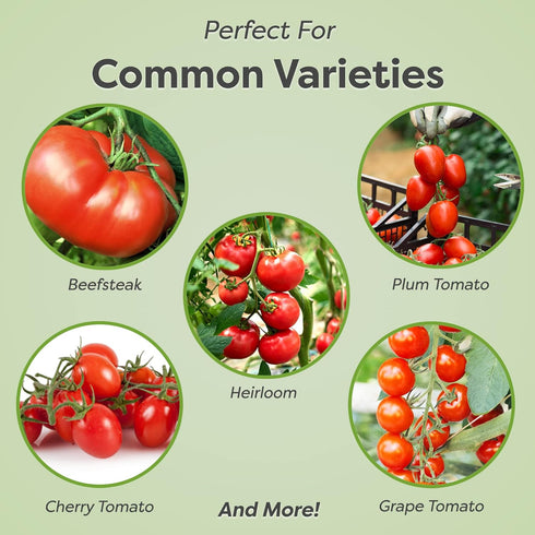 8oz. Perfect Plants Tomato Plant Fertilizer in Bottle | Help Your Vegetable Garden Thrive | Rich in Essential nutrients