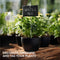 (15 Navaris Slate Plant Labels Pieces) - Garden Marker Label Signs with Stakes - Markers for Plants, Vegetables, Herb