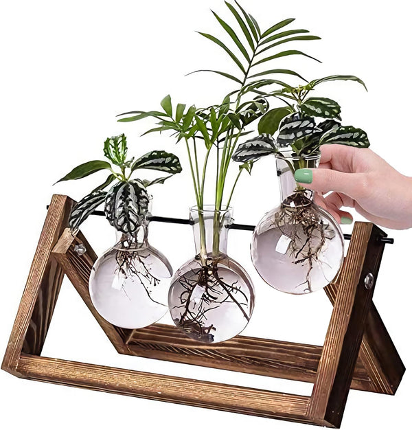 Kingbuy Desktop Glass Planter Iron and Wooden Stand Plant Terrariums for Indoor