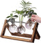 Kingbuy Desktop Glass Planter Iron and Wooden Stand Plant Terrariums for Indoor
