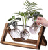 Kingbuy Desktop Glass Planter Iron and Wooden Stand Plant Terrariums for Indoor