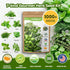 12-Pod 7 Pack Gourmet Herb Seed Kit Compatible with All Hydroponics, Varieties - Basil, Parsley, Thyme, Mint, Cilantro