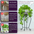 200LB 12.5 23.6 Inches, Yimobra Tall Plant Stand Indoor Outdoor, Hold Up Metal Flower Plant Stand, Heavy Duty Rustproof