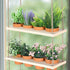 FillTouch 3 12 Tiered Hanging Herb Planters Hanging Herb Garden Wall with Pcs Nursery Pot Wood Vertical Window Plant