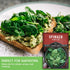 10" (1 Pack) Viroflay Spinach Seeds for Planting Giant Heirloom Variety with Tender Sweet Leaves Fast Growing Cold