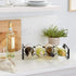 Amazon Basics Tabletop Stackable Metal Wine Rack - 4-Bottle, 3.74"D x 15.75"W x 7.87"H, Black