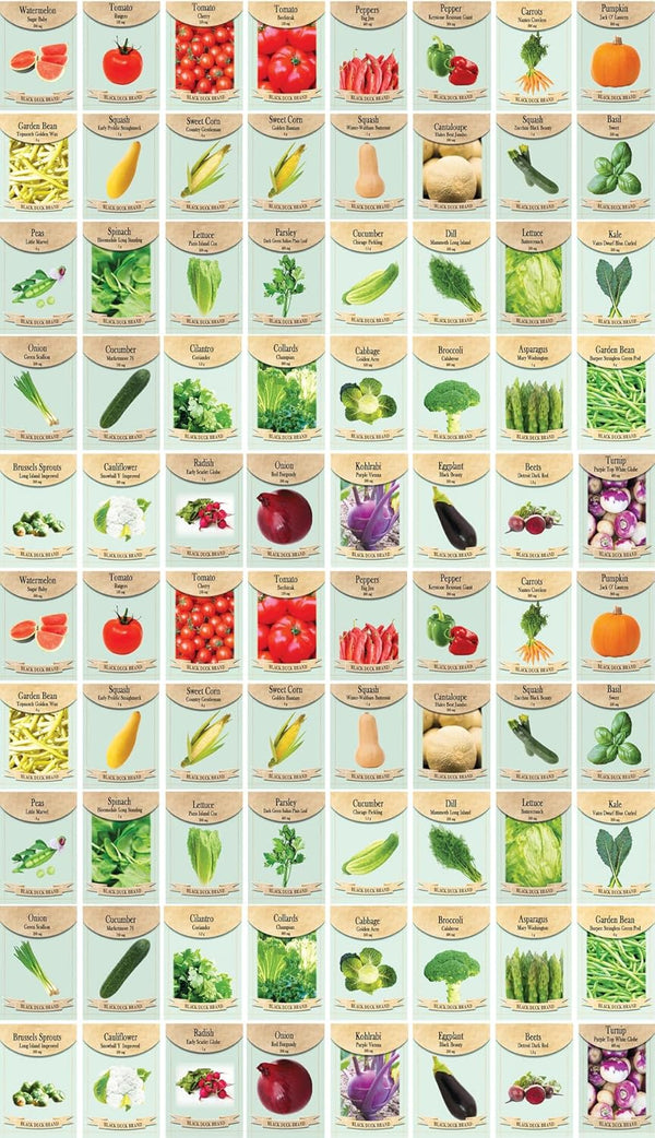 Black Duck Brand Set of 80 Vegetable and Herb Seeds - Semi Assorted - 100