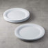 Amazon Basics Melamine (Plastic) Plate, 6 Piece Set, 10.5 in, White (Previously AmazonCommercial)