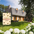 ZJXHPO Welcome To Grandma's Garden Flag, Grandparents Outdoor Decor, Bee Yard Gift, Honey House Gift